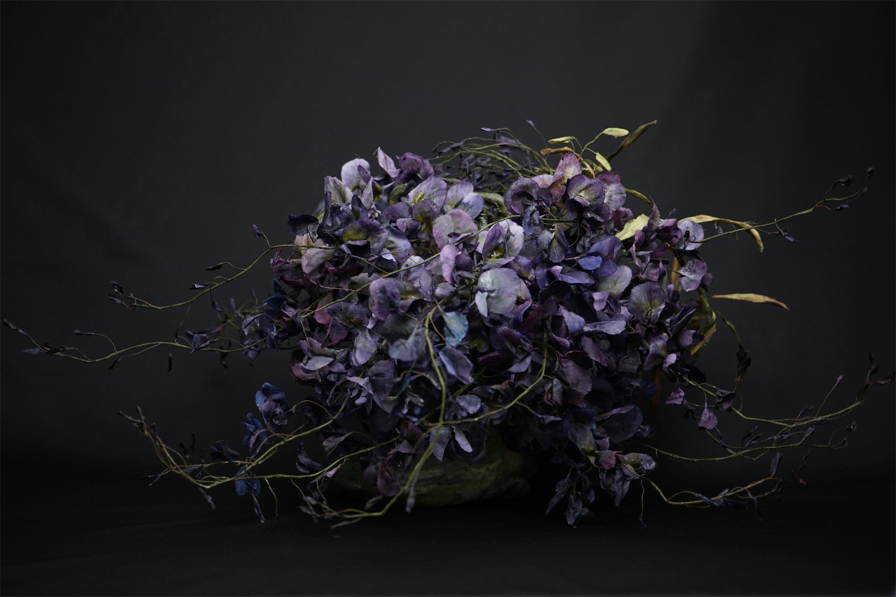 Self-portrait as Wisteria 03